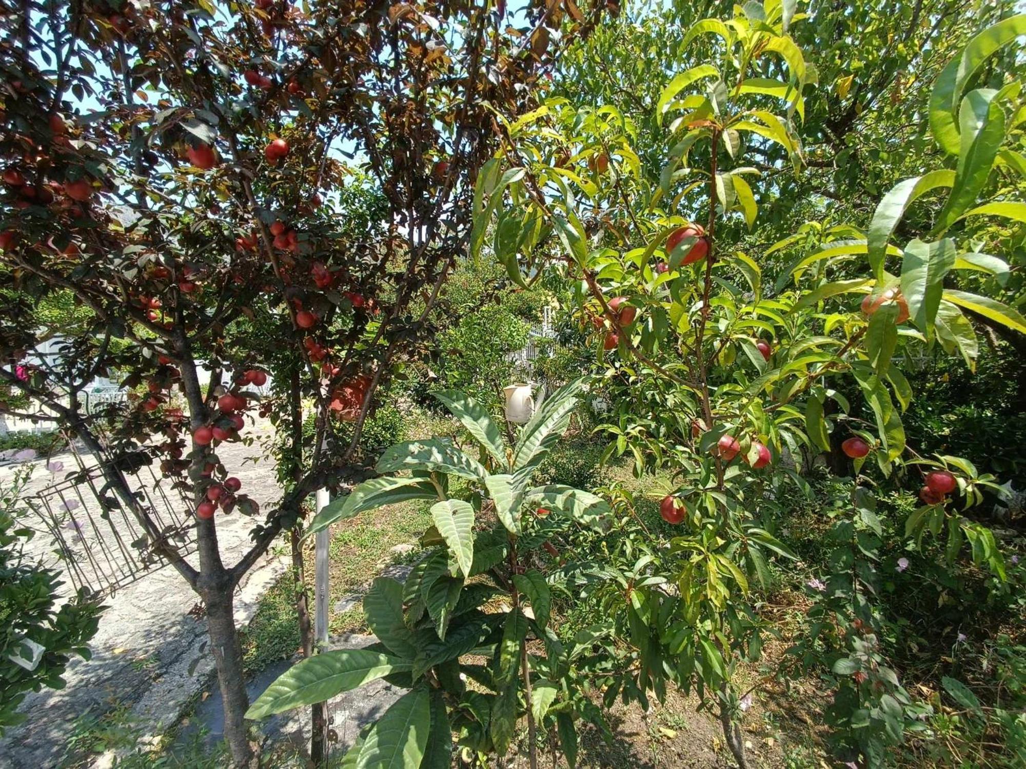 Irene'S Home إيغومينيتسا المظهر الخارجي الصورة